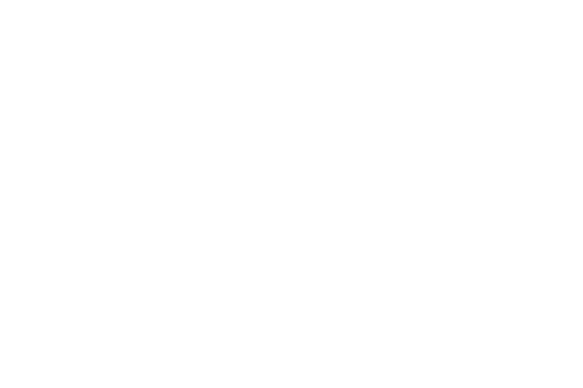Architectural parti — the conceptual gesture sketch that guides the design.